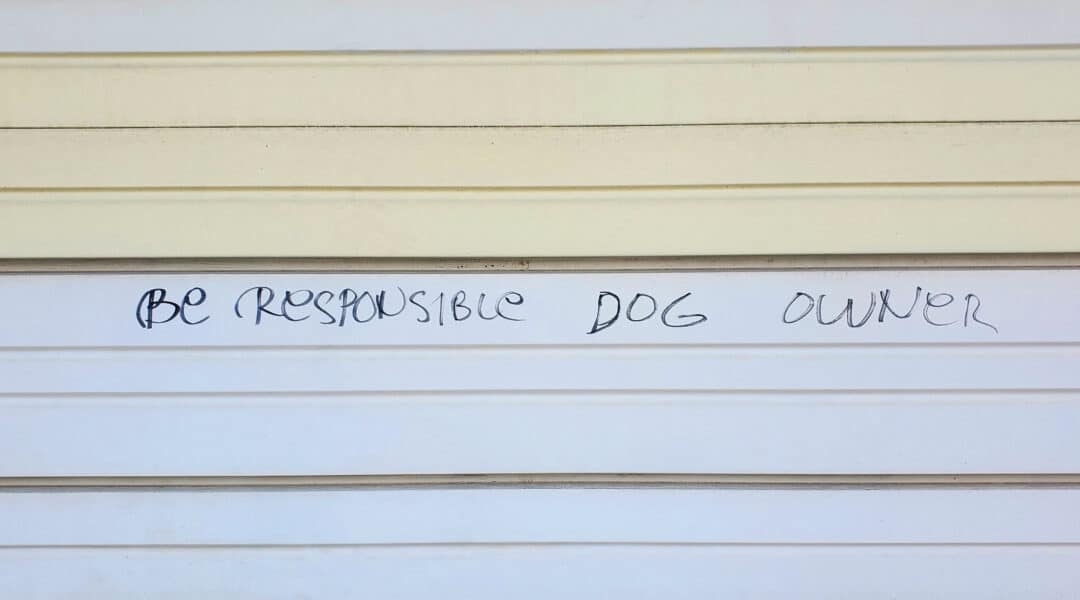 the words "be responsible dog owner" are written on a garage door in sharpie